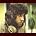 Robert Lamm