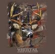 Whitetail Americas Big Game - Old Country Outfitters
