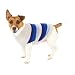 Fashion Pet Blue Best in Stripe Dog Sweater Small