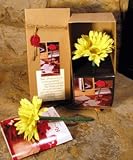Yellow Daisy Boxed Single Flower Pen