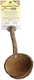 Polly's Coconut Pet Bird Cup, Small