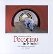 Pecorino in Rimini. Ein Hund geht um die Welt