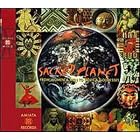 Click here to buy Sacred Planet by  Johann Sebastian Bach, Andrea Ceccomori, Ludovico Einaudi, George Frederick Handel, and Ustad Nishat Khan .