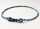 Philadelphia Eagles Titanium Sport Necklace
