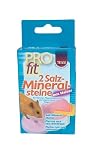 TRIXIE 6000 Salz-Mineralsteine mit Halter