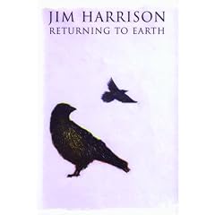 Returning to Earth