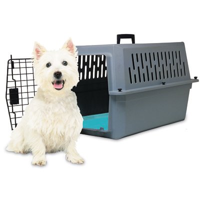 Canine Cooler  Small Pet Bed