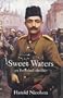 Sweet Waters: An Instanbul Thriller