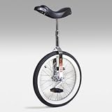 Schwinn 20 Inch Commuting / Touring Unicycle - Chrome