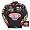 Jeff Gordon