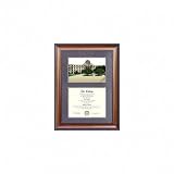 Texas Longhorns Suede Mat Diploma Frame with Lithograph