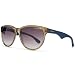 Carrera 6004 Sunglasses in Crystal Brown Aqua 6004 BFG 55