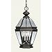 Livex 2634-07, Bradford 3 Light Medium Outdoor Lighting Pendant Fixture, Bronze, Glass, B2075