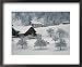 Switzerland, Winter Snow Scene in Alps near Appenzell Framed Photographic Poster Print by Brimberg & Coulson, 22x18