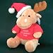 Personalised Rudolph / Teddy. Can be personalised with up to 50 characters/letters