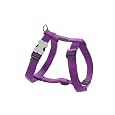 Red Dingo Dog Harness, Medium, Purple