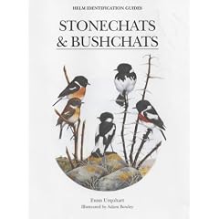 Stonechats (Helm Identification Guides)
