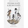 Stonechats (Helm Identification Guides)