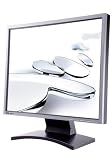 Benq FP93GX 48,3 cm (19 Zoll) TFT Monitor DVI siber/schwarz