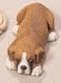 Boxer - Snoozer Sandicast Figurine (Fawn)