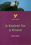 A Kestrel for a Knave (York Notes)