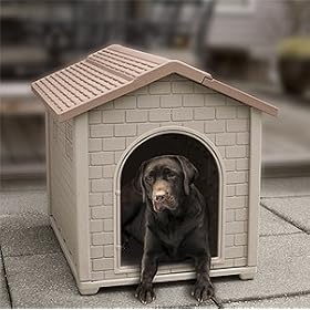 Simply Life Medium Plastic Dog House w/ Removable Latching Door All Weather Fade-Resistant