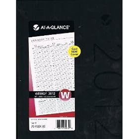 AT-A-GLANCE� Contemporary Monthly Planner 70-260X-00 - 9" x 11": Office Products