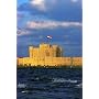 Alexandria Illustrated