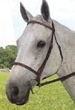 Kincade Plain Raised Bridle