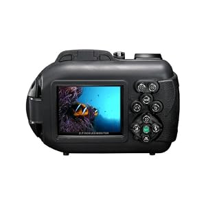 Sealife DC1000 10 Megapixel Underwater / Land Camera in Removable Housing with 5X Optical Zoom (Black)