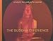 Buddha
Experience:
Wisdom,
Fun
and
Joyful
Sounds