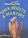 Stick Insects