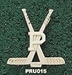 Princeton Univ Polish "P" Hockey Stks Charm/Pendant