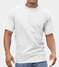 Fruit of the Loom Men's Crew T-Shirt