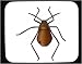 Mouse Pad with aphid, insect, 