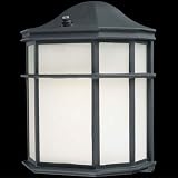 Minka Lavery Outdoor Basic PL 9920-66-PL Cast Alum 1-LT 13w (9H x 7W) Energy Star Wall Light Black