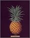 Pineapple art print 53x43cm by George Brookshaw