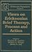 Views on Ericksonian Brief Therapy: Process and Action (Ericksonian Monograph)