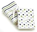 Babylicious Sit and Spit Cloths - Blue