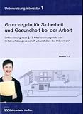 41V9hap4taL. SL160  Grundregeln für Sicherheit und Gesundheit bei der Arbeit 1.1, 1 CD ROM Unterweisung nach §12 Arbeitsschutzgesetz und Unfallverhütungsvorschrift Grundsätze der Prävention, für Windows 98 SE, ME, NT 4 oder höher, 2000, XP