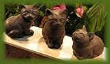 IMAGE OF CAT Trio Kittens SET STATUES 3