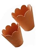 Romantic Terracotta Cachepots (Set of 2)