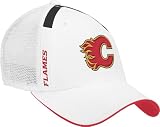 Calgary Flames 2009 Draft Day Cap
