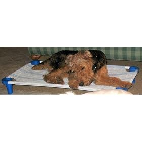 Raised Dog Bed