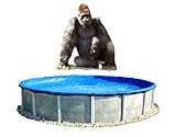 Economy - 18' Round Above Ground Pool Winter Cover - 18 ft Gorilla Pool Cover