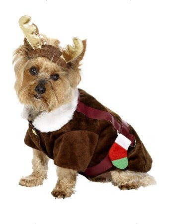 Reindeer Dog Costume