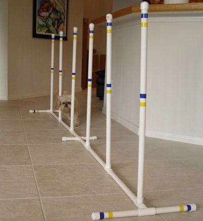 Childrens Toyshop  Pet Supplies : Indoor/Outdoor Weave Poles - Set of 6