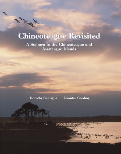 chincoteague revisited a sojourn to the chincoteague and assateague islands