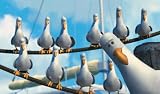 Finding Nemo (2 Disc Collector's Edition) [2003]