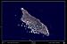 Aruba, the Caribbean Satellite map/print art: 36x24 Glossy